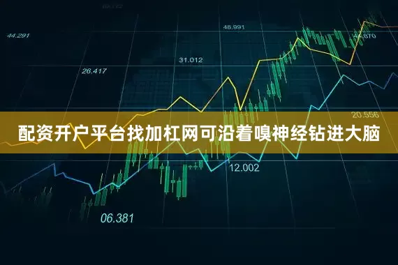 配资开户平台找加杠网可沿着嗅神经钻进大脑