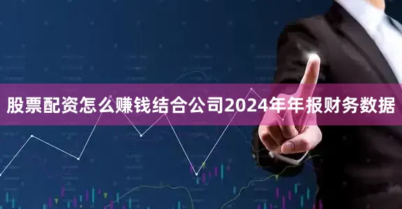 股票配资怎么赚钱结合公司2024年年报财务数据