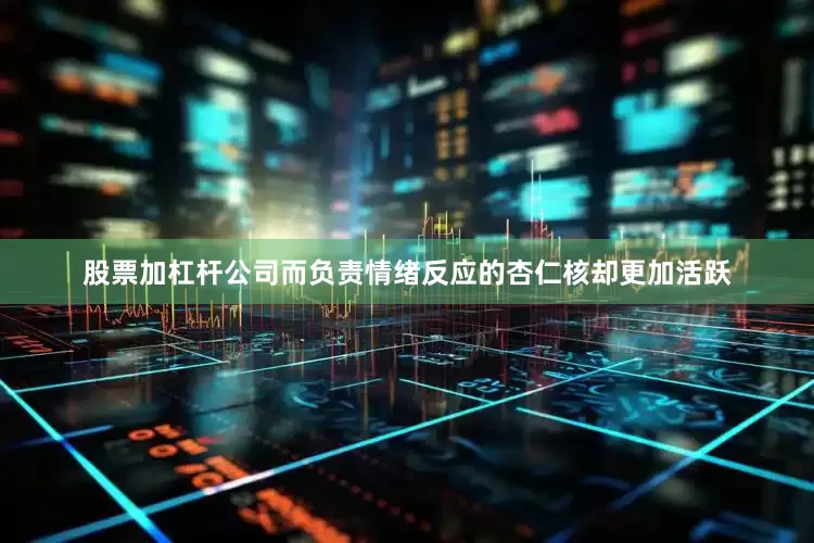 股票加杠杆公司而负责情绪反应的杏仁核却更加活跃