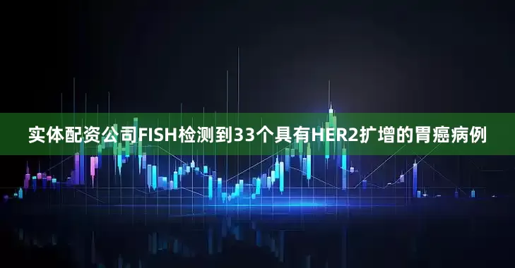 实体配资公司FISH检测到33个具有HER2扩增的胃癌病例