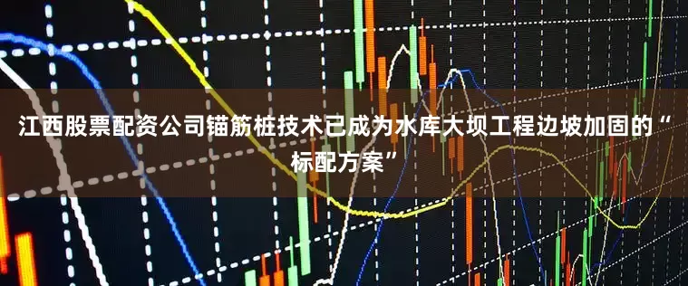 江西股票配资公司锚筋桩技术已成为水库大坝工程边坡加固的“标配方案”