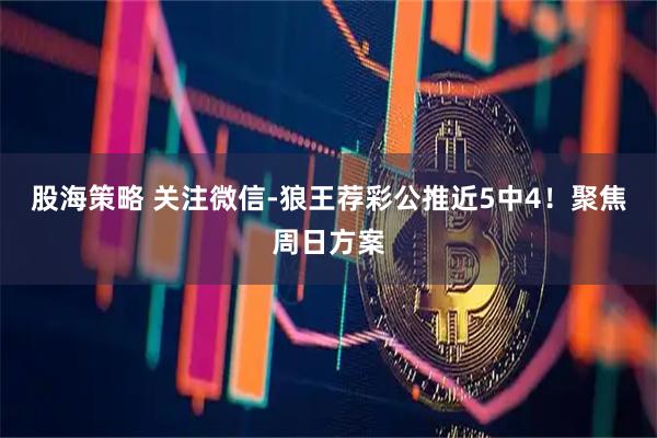 股海策略 关注微信-狼王荐彩公推近5中4！聚焦周日方案